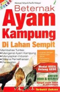 Image of Berternak Ayam Kampung Di Lahan Sempit